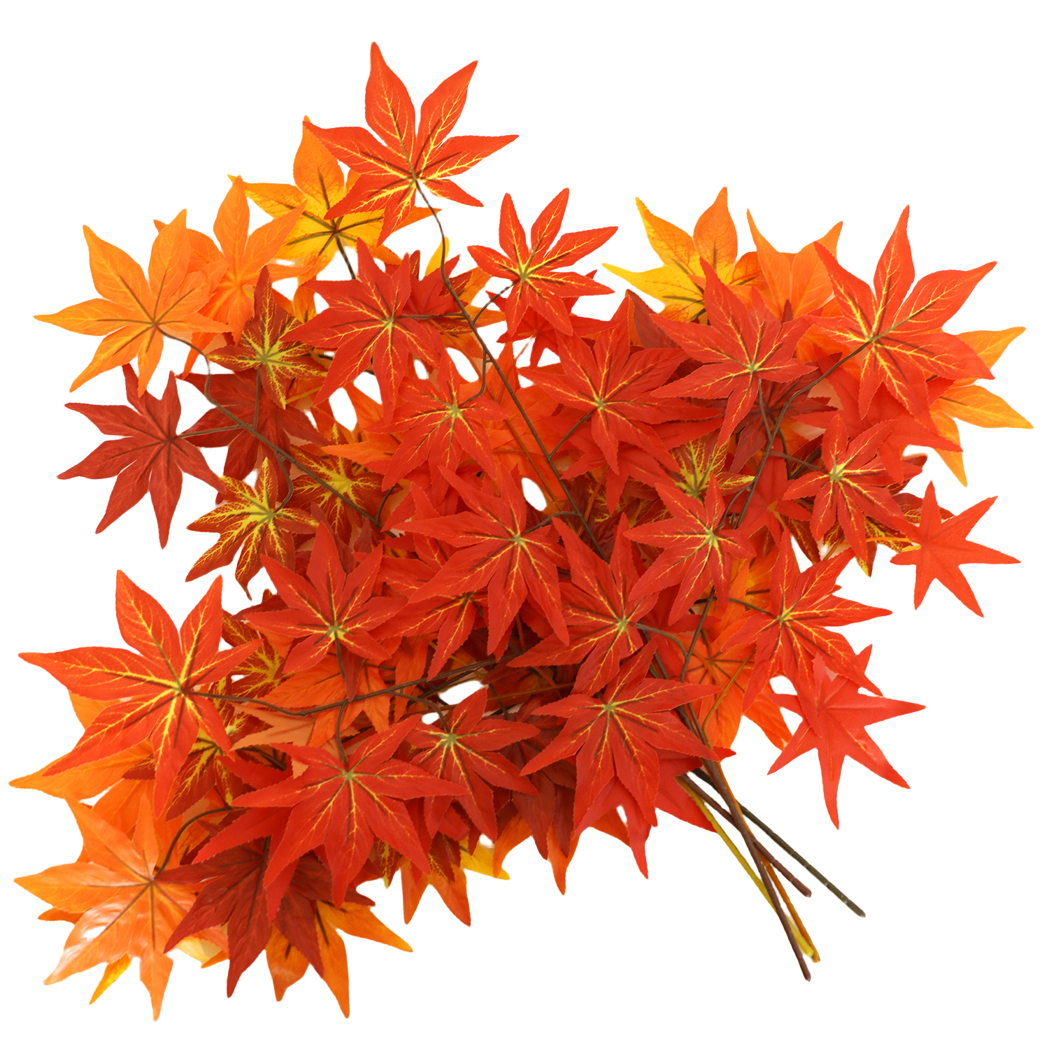 Bao Bì Thân Thiện Môi Trường